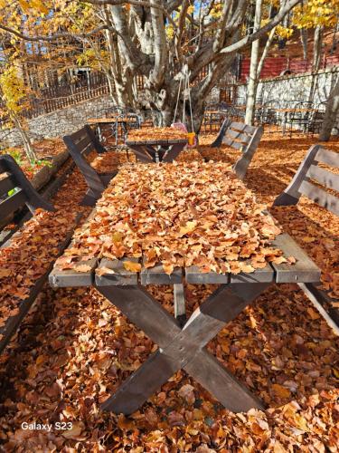 una mesa de picnic cubierta de hojas en el suelo en Razem Lendina e Qete, en Razëm