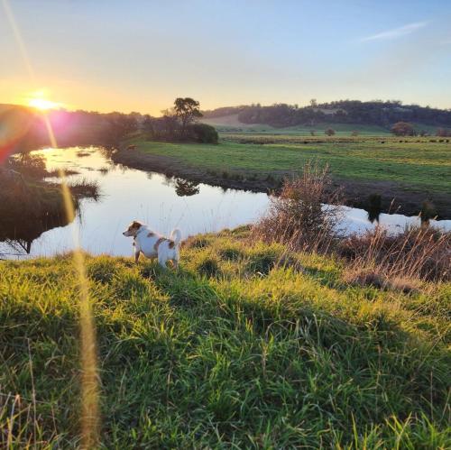 Φωτογραφία από το άλμπουμ του Luxury farm stay with outdoor jacuzzi σε St Helens