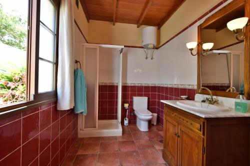 een badkamer met een toilet, een wastafel en een spiegel bij Casas Rurales Tola in El Paso