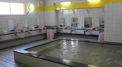 a bathroom with a pool of water and mirrors at Hotel Kaijyokan in Isa