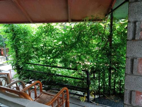 Gallery image of 一元民宿 One Penny Hostel in Sanzhi