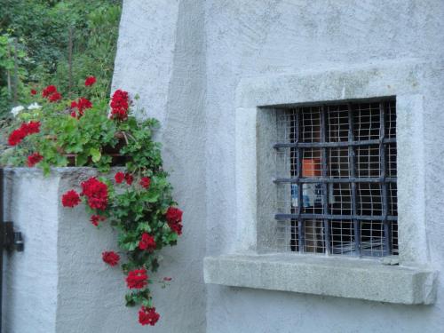 a window with red geraniums on the side of a building at Osteria Del Centro in Brusio