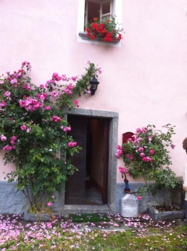 a pink building with flowers on the side of it at Le Primule in Piedilago