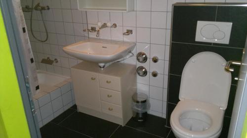 ein kleines Bad mit einem Waschbecken und einem WC in der Unterkunft Back-Packer Federnhut in Schaffhausen