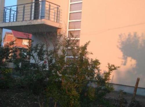 Příroda nedaleko vily