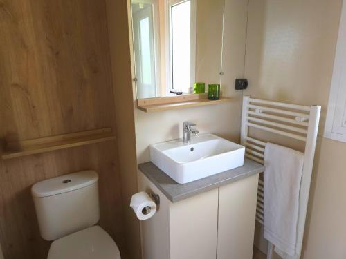 a bathroom with a sink and a toilet and a mirror at Tiny d'Monts in Brullioles