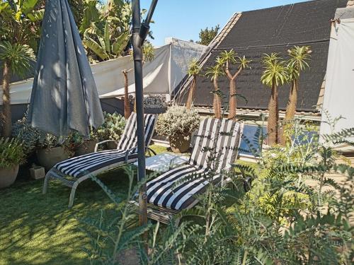 Gallery image of Modern studio apartment with solar in Honeydew