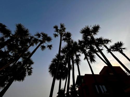 a group of palm trees against a blue sky at Luxus Resort in Puducherry