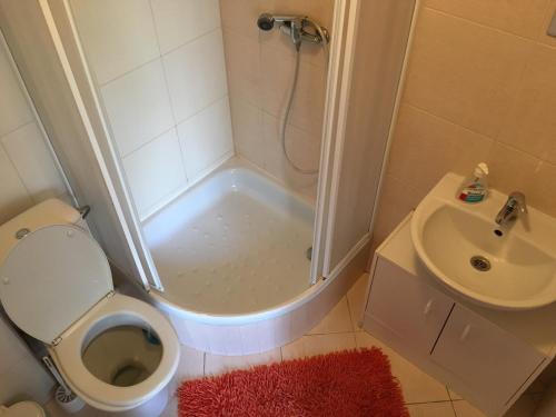Koupelna v ubytování Apartmánový Dom Králiky