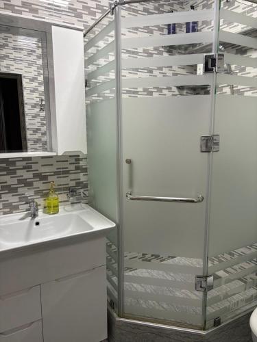 Toshkent-Passajir BekatiにあるIn the heart of Tashkentのシャワーと洗面台付きのバスルーム