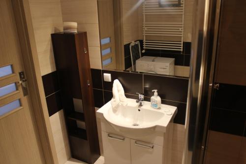 a bathroom with a sink and a mirror at Apartament Sadowa in Gdańsk