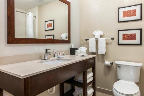 a bathroom with a sink and a toilet and a mirror at Comfort Inn Blue Ash North in Blue Ash