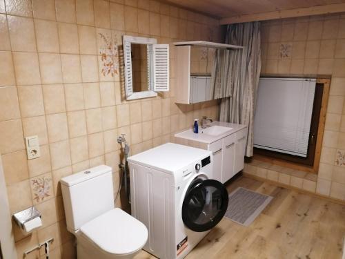 a bathroom with a toilet sink and a washing machine at Hause Alpina in Bichlbach