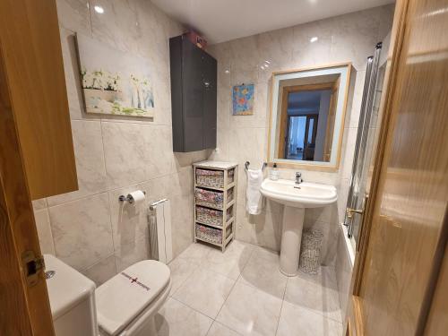 een kleine badkamer met een wastafel en een toilet bij Apartamentos Pilartxo Jaca 3000 in Jaca