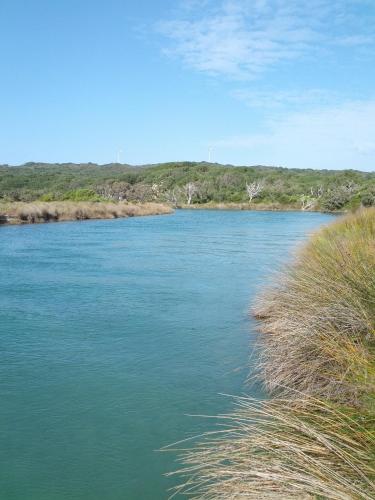 a river with blue water and grass in the foreground at Ocean Beach Hideaway in Denmark