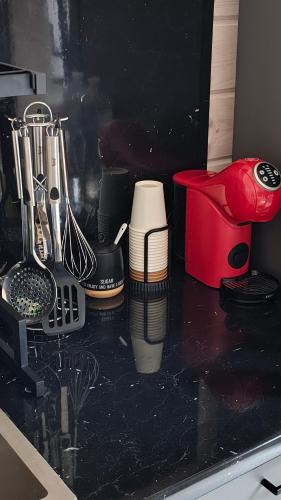 Una cocina o zona de cocina en Лісове SPA