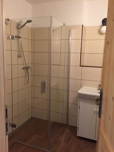 a shower with a glass door next to a sink at Apartmány Na Faře in Bílá