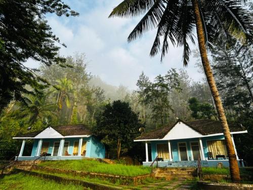 JamburにあるIsland Cafeのヤシの木のあるジャングルの家