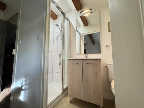 a bathroom with a shower and a sink at L'escapade Beaujolaise in La Chapelle-de-Guinchay
