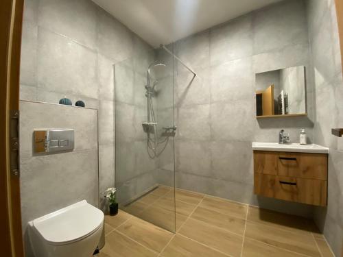 Un baño con ducha, inodoro y lavabo. en Apartmány Mikulov 45, en Mikulov v Krušných Horách