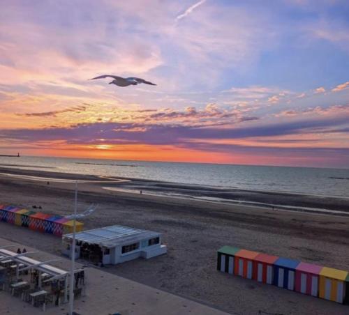 Φυσικό τοπίο κοντά σε αυτό το διαμέρισμα