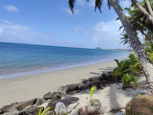 南迪Helen House一间带独立卫生间的温馨卧室的有棕榈树和大海的沙滩