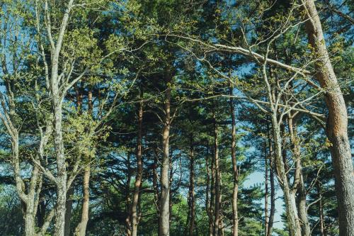 Φυσικό τοπίο κοντά σε αυτή η παραθεριστική κατοικία