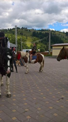 Ciocăneşti的住宿－布科維納別墅旅館，相簿中的一張相片