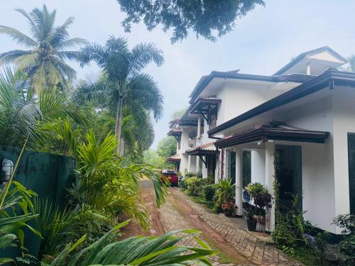 ティッサマハーラーマにあるHotel Winrose Tissamaharamaのヤシの木が茂る家の隣の未舗装道路