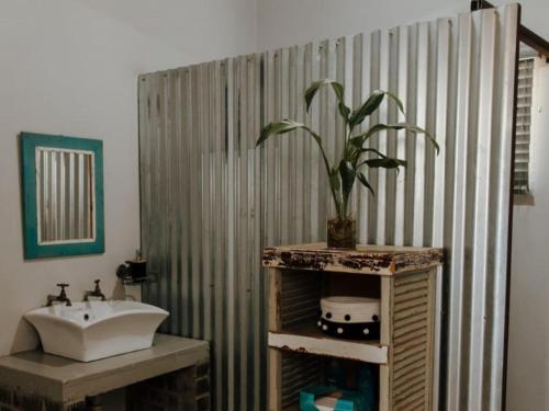 a bathroom with a sink and a plant on a shelf at Elandskop in Breede River DC