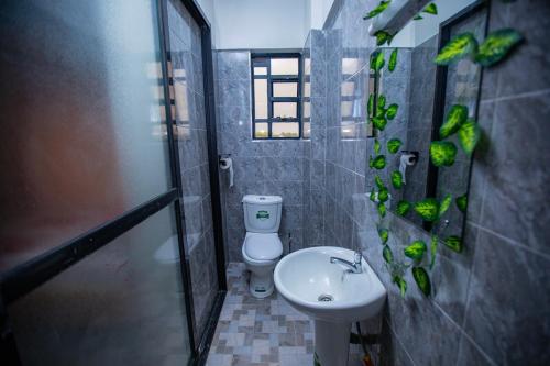 un bagno con un water bianco e un lavandino di Most Executive house in Naka Lakeview & central a Nakuru