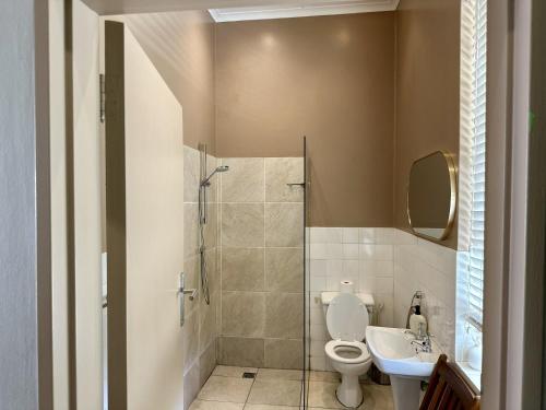 a bathroom with a shower and a toilet and a sink at Le Manse in Franschhoek