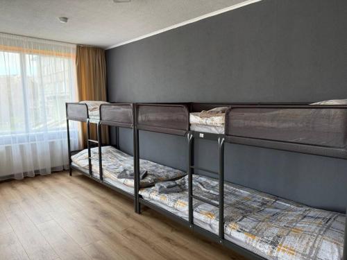 two bunk beds in a room with a wall at ADAM Hostel Krāslava in Krāslava