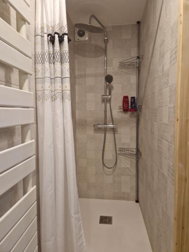 a shower with a shower curtain in a bathroom at Le petit céretant in Céret