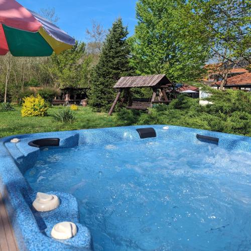 a swimming pool in a yard with an umbrella at Cabana 23 - Avrig in Avrig