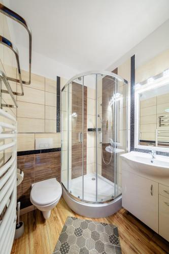 a bathroom with a shower and a toilet and a sink at Dom Wypoczynkowy Podhalanka in Białka Tatrzańska