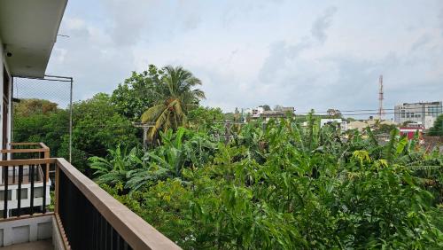 a balcony with a bunch of green plants at nelli house in Galle