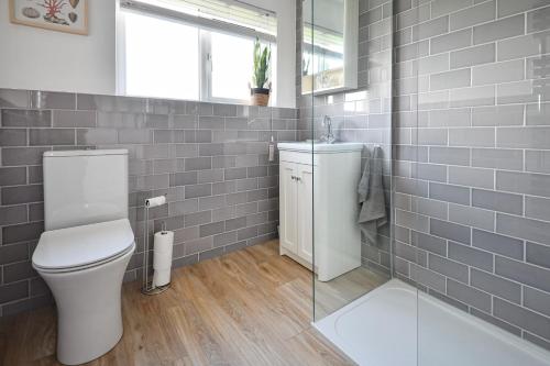 a bathroom with a toilet and a sink at Maes Coch in Abersoch