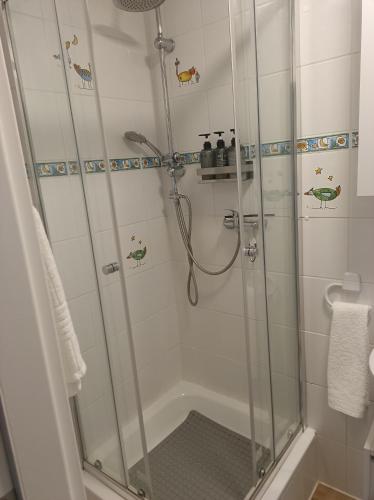 une douche avec une porte vitrée dans une salle de bain dans l'établissement Devona Apart, à Langenselbold