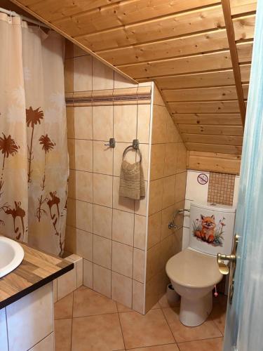 a bathroom with a toilet and a sink at Pension Eliška in Harrachov