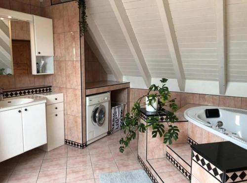 a kitchen with a sink and a washing machine at City Apartments Bobenheim-Roxheim- Modern und Luxurious in Bobenheim-Roxheim