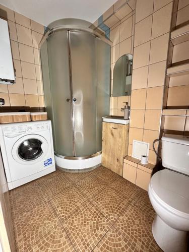 Apartament Jośki في ريبنيك: حمام صغير مع دش وغسالة ملابس
