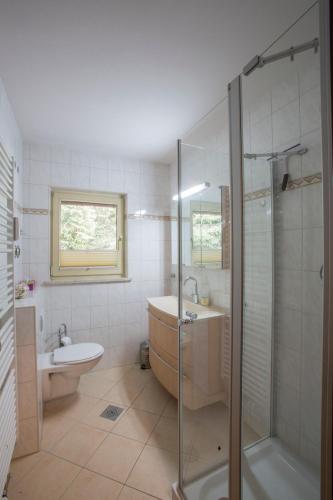 a bathroom with a shower and a sink and a toilet at Zugspitz Traumapartment in Farchant