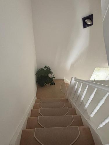 a staircase with a plant in the middle of it at Gästehaus in Kronshagen