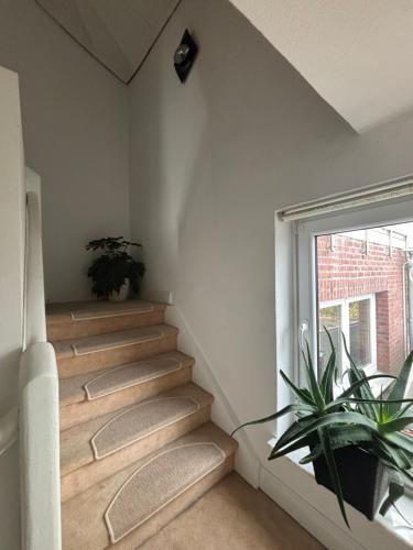 a staircase with a plant next to a window at Gästehaus in Kronshagen