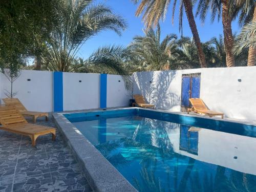 a swimming pool with two chairs and palm trees at Bait Gamal Siwa بيت جمال سيوة in Siwa
