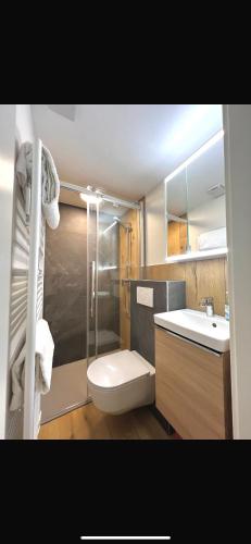 a bathroom with a shower and a toilet and a sink at Home in Grengiols