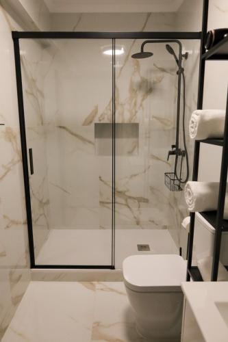 a bathroom with a shower and a toilet at Dabney3 Apartments in Madalena
