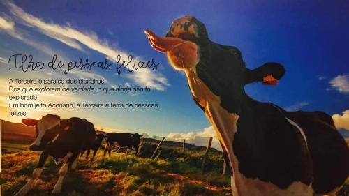 英雄港Globo Happy Hostel的相册照片