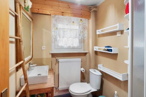een kleine badkamer met toilet en wastafel bij Ciasa La Cate in Bellamonte